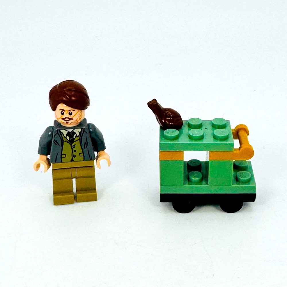 LEGO Professor Remus Lupin Minifigure Gray Jacket Green Vest W/Hogwarts Trolley